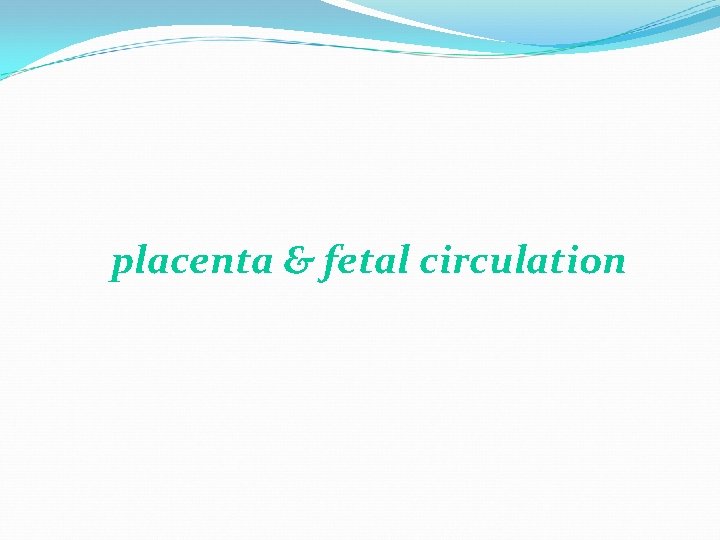 placenta & fetal circulation 