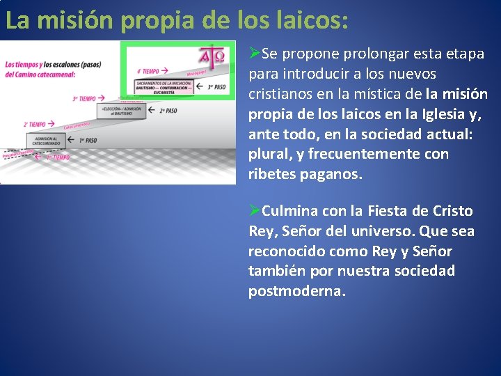 La misión propia de los laicos: ØSe propone prolongar esta etapa para introducir a