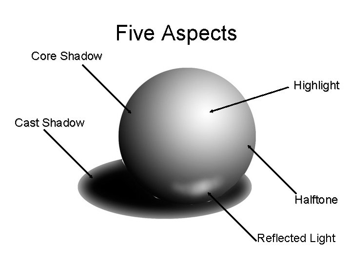 Five Aspects Core Shadow Highlight Cast Shadow Halftone Reflected Light 