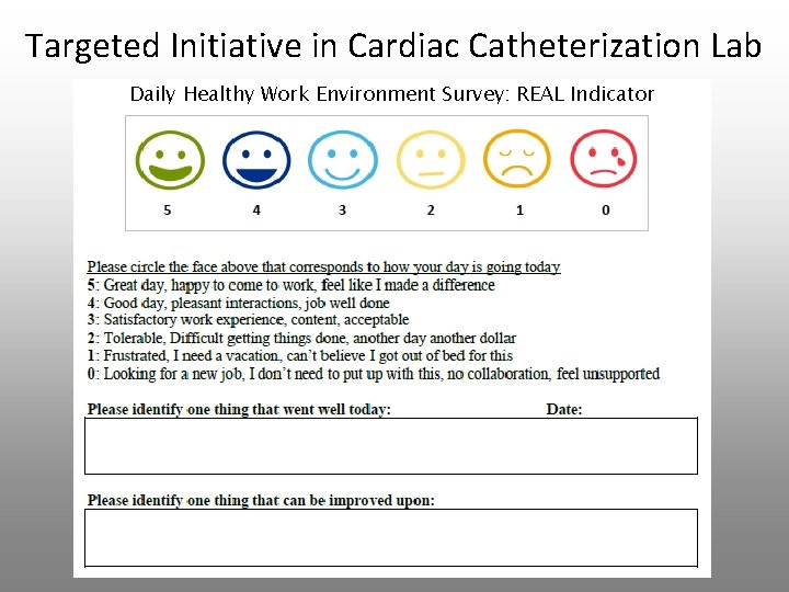 Targeted Initiative in Cardiac Catheterization Lab Daily Healthy Work Environment Survey: REAL Indicator 