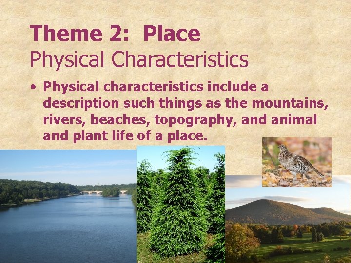 Theme 2: Place Physical Characteristics • Physical characteristics include a description such things as