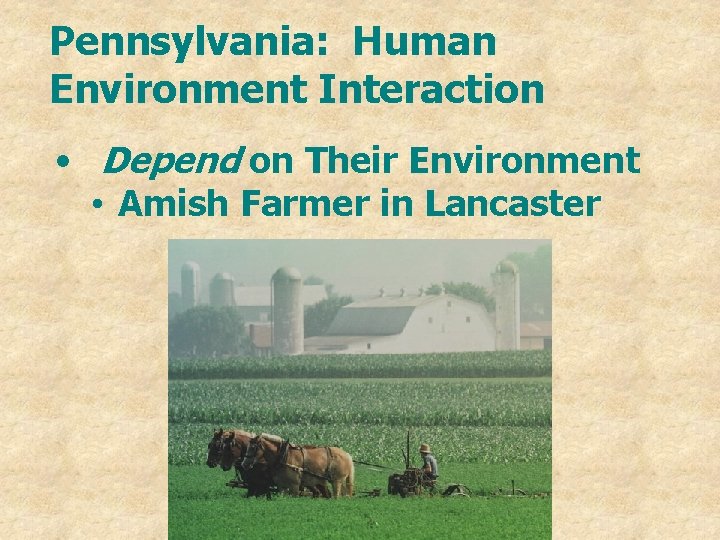 Pennsylvania: Human Environment Interaction • Depend on Their Environment • Amish Farmer in Lancaster
