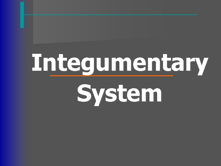 Integumentary System 