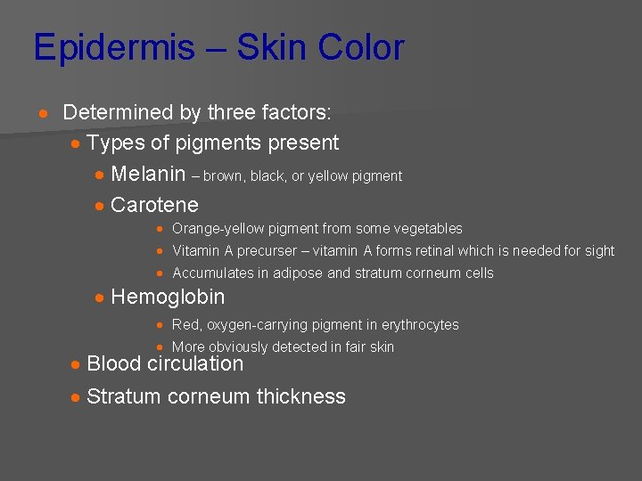 Epidermis – Skin Color · Determined by three factors: · Types of pigments present