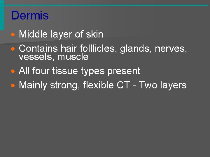 Dermis · Middle layer of skin · Contains hair folllicles, glands, nerves, vessels, muscle