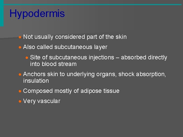 Hypodermis · Not usually considered part of the skin · Also called subcutaneous layer