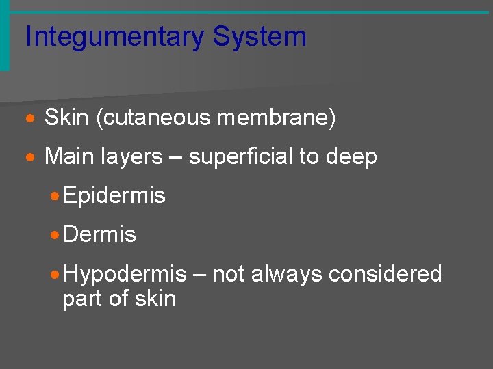 Integumentary System · Skin (cutaneous membrane) · Main layers – superficial to deep ·