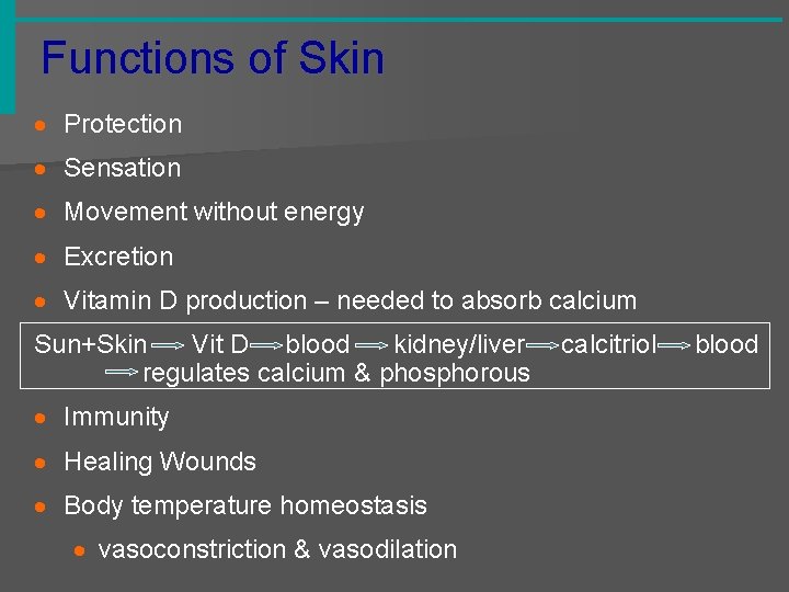 Functions of Skin · Protection · Sensation · Movement without energy · Excretion ·