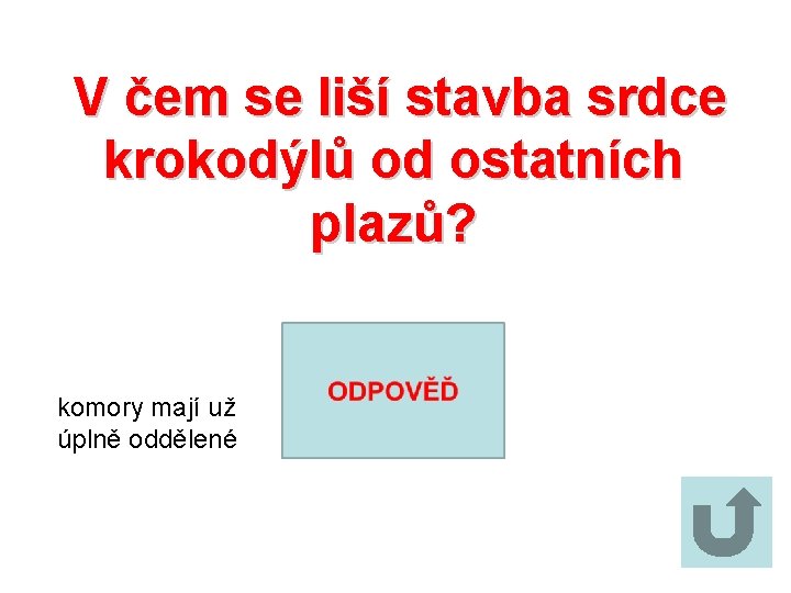 V čem se liší stavba srdce krokodýlů od ostatních plazů? komory mají už úplně