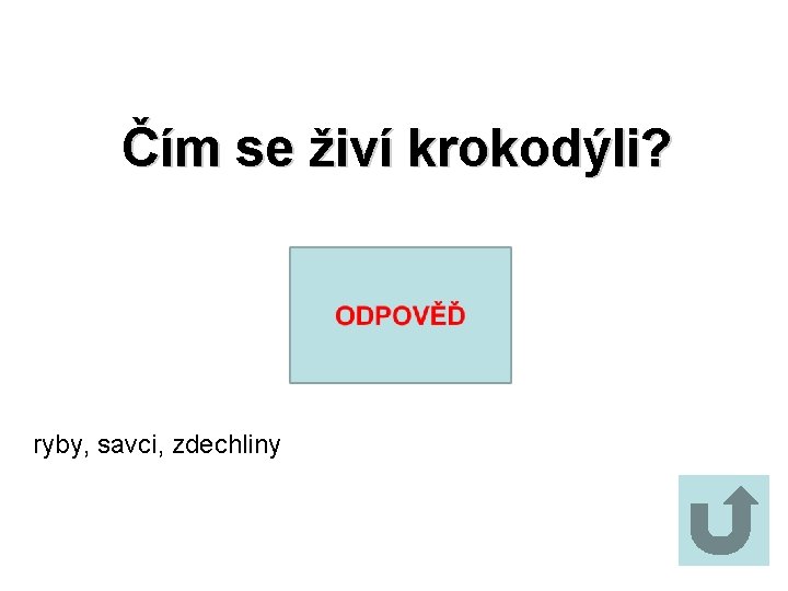 Čím se živí krokodýli? ryby, savci, zdechliny 