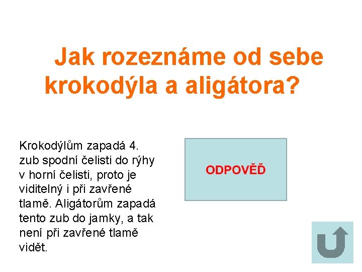 Jak rozeznáme od sebe krokodýla a aligátora? Krokodýlům zapadá 4. zub spodní čelisti do