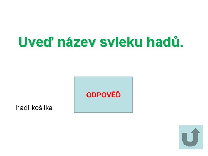 Uveď název svleku hadů. hadí košilka 