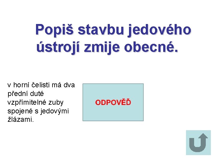 Popiš stavbu jedového ústrojí zmije obecné. v horní čelisti má dva přední duté vzpřímitelné