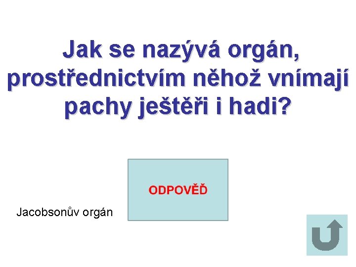 Jak se nazývá orgán, prostřednictvím něhož vnímají pachy ještěři i hadi? Jacobsonův orgán 