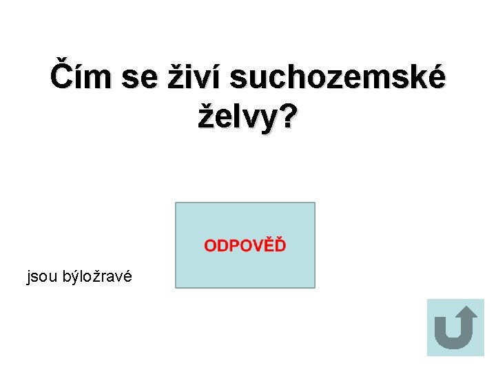 Čím se živí suchozemské želvy? jsou býložravé 