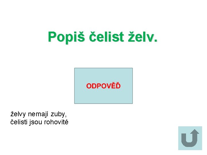 Popiš čelist želvy nemají zuby, čelisti jsou rohovité 