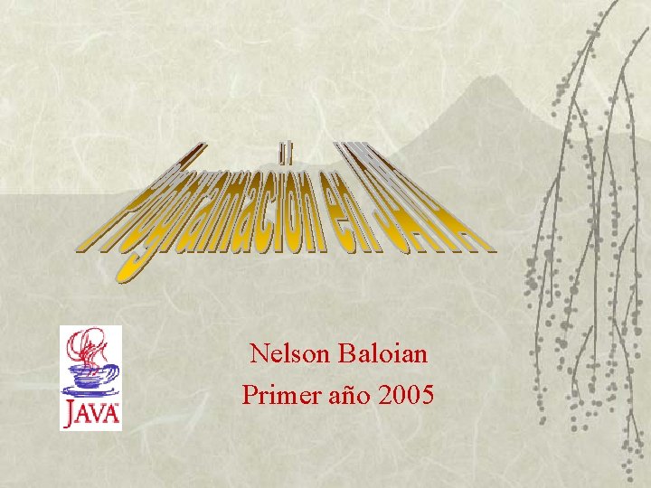 Nelson Baloian Primer año 2005 
