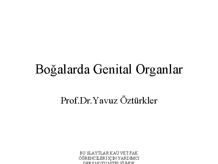 Boğalarda Genital Organlar Prof. Dr. Yavuz Öztürkler BU SLAYTLAR KAÜ VET. FAK ÖĞRENCİLERİ İÇİN