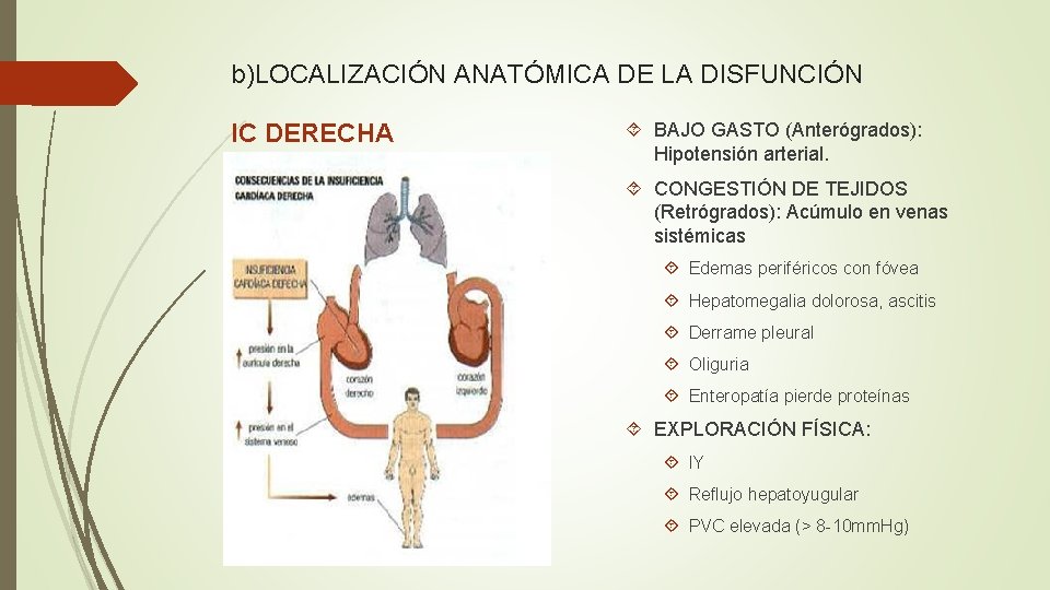 b)LOCALIZACIÓN ANATÓMICA DE LA DISFUNCIÓN IC DERECHA BAJO GASTO (Anterógrados): Hipotensión arterial. CONGESTIÓN DE