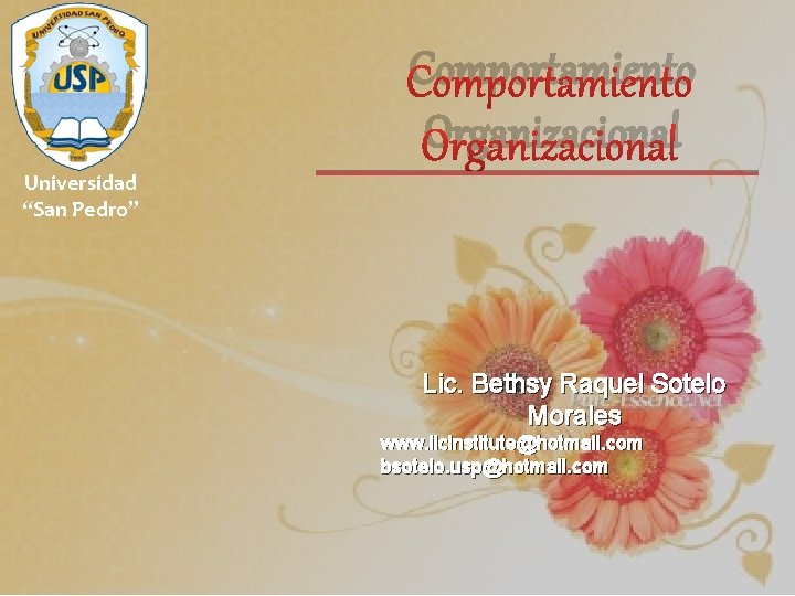 Comportamiento Organizacional Universidad “San Pedro” Lic. Bethsy Raquel Sotelo Morales www. ilcinstitute@hotmail. com bsotelo.