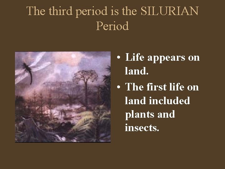 The third period is the SILURIAN Period • Life appears on land. • The