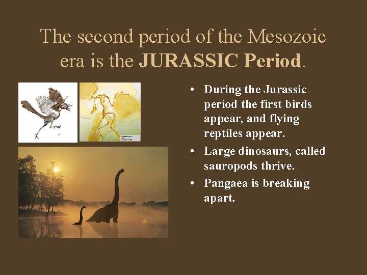 The second period of the Mesozoic era is the JURASSIC Period. • During the