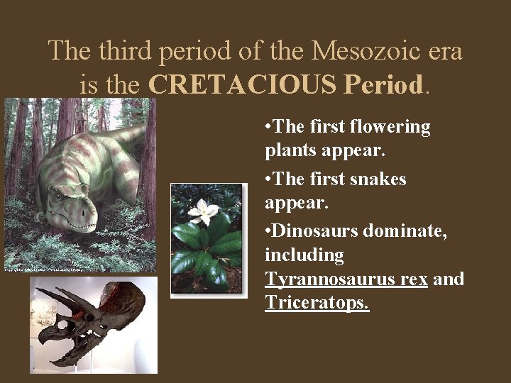 The third period of the Mesozoic era is the CRETACIOUS Period. • The first