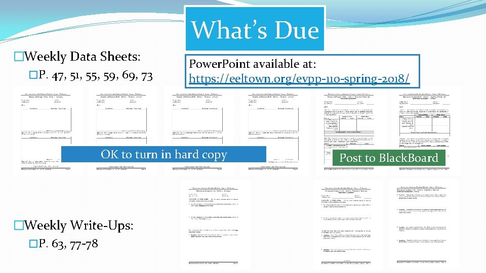 What’s Due �Weekly Data Sheets: �P. 47, 51, 55, 59, 69, 73 Power. Point What’s Due �Weekly Data Sheets: �P. 47, 51, 55, 59, 69, 73 Power. Point