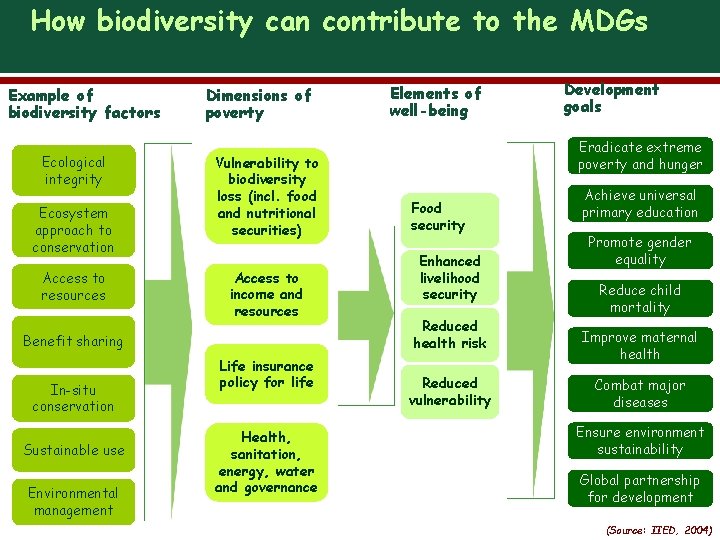 How biodiversity can contribute to the MDGs Example of biodiversity factors Ecological integrity Ecosystem