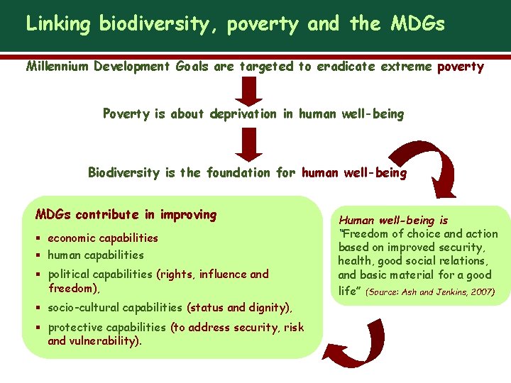 Linking biodiversity, poverty and the MDGs Millennium Development Goals are targeted to eradicate extreme