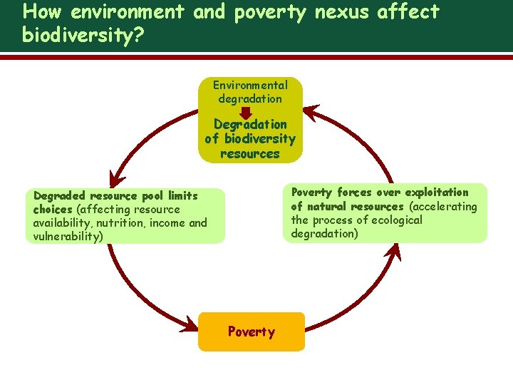 How environment and poverty nexus affect biodiversity? Environmental degradation Degradation of biodiversity resources Poverty