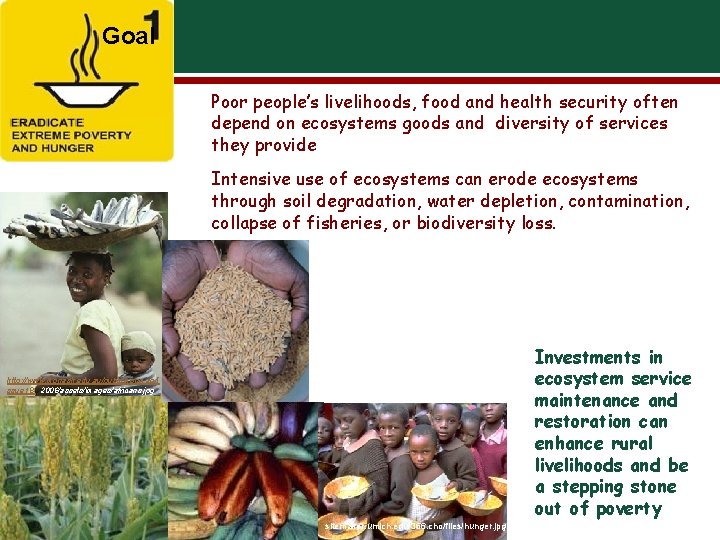 Goal Poor people’s livelihoods, food and health security often depend on ecosystems goods and