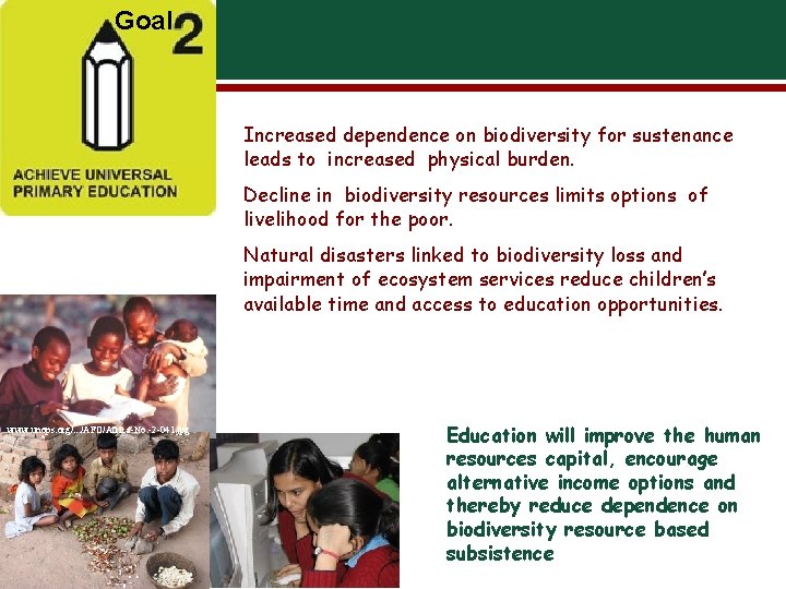 Goal Increased dependence on biodiversity for sustenance leads to increased physical burden. Decline in