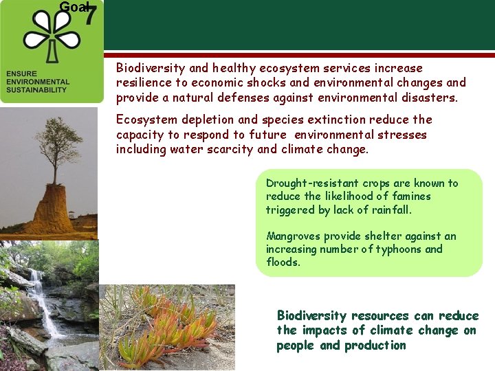 Goal Biodiversity and healthy ecosystem services increase resilience to economic shocks and environmental changes