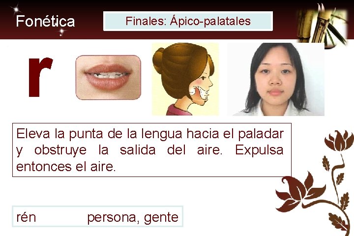 Fonética Finales: Ápico-palatales r Eleva la punta de la lengua hacia el paladar y