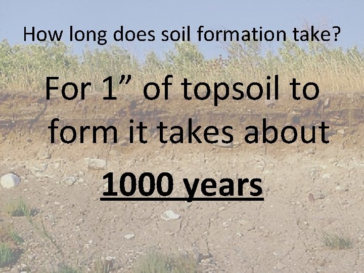 How long does soil formation take? For 1” of topsoil to form it takes