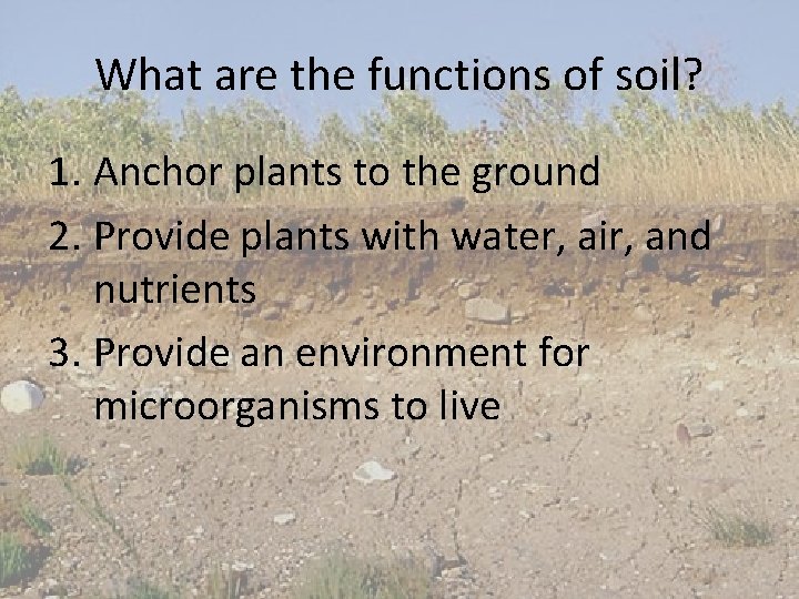 What are the functions of soil? 1. Anchor plants to the ground 2. Provide