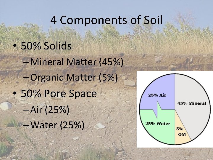 4 Components of Soil • 50% Solids – Mineral Matter (45%) – Organic Matter