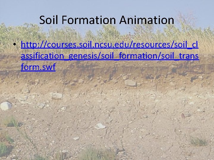 Soil Formation Animation • http: //courses. soil. ncsu. edu/resources/soil_cl assification_genesis/soil_formation/soil_trans form. swf 