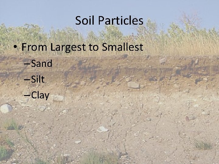 Soil Particles • From Largest to Smallest – Sand – Silt – Clay 