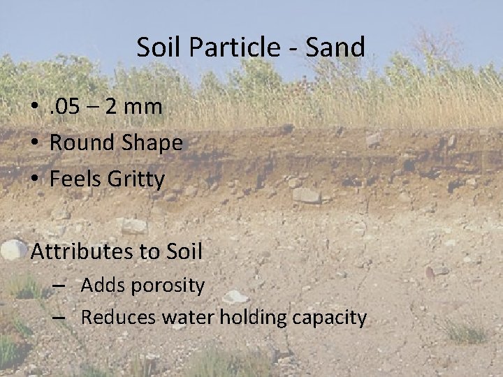 Soil Particle - Sand • . 05 – 2 mm • Round Shape •