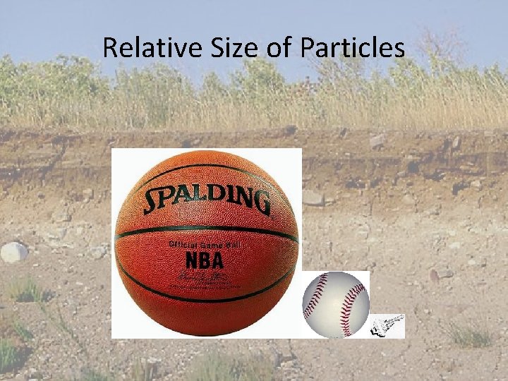 Relative Size of Particles 