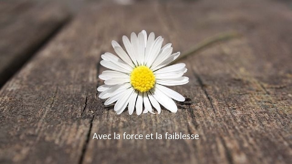 Avec la force et la faiblesse 