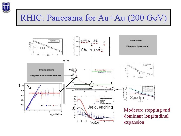 RHIC: Panorama for Au+Au (200 Ge. V) Photons Chemistry HBT v 2 Spectra Jet