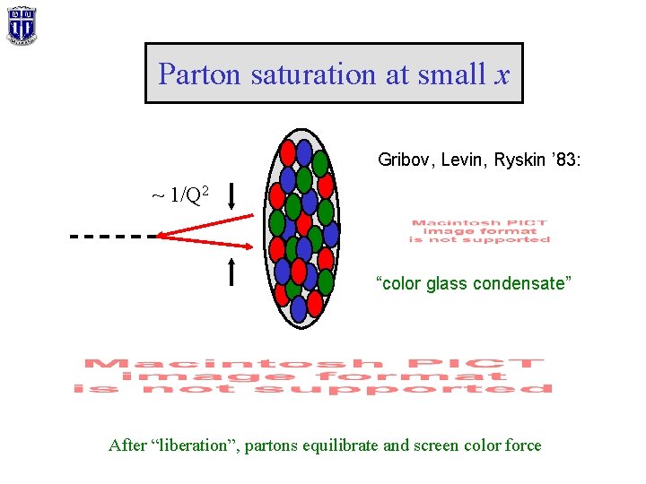 Parton saturation at small x Gribov, Levin, Ryskin ’ 83: ~ 1/Q 2 “color