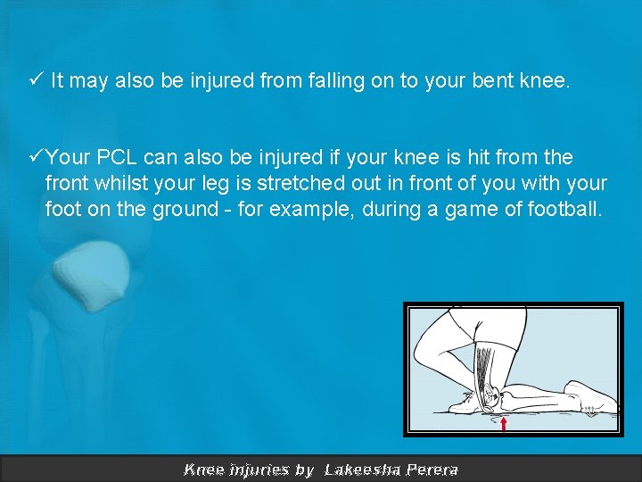 ü It may also be injured from falling on to your bent knee. üYour