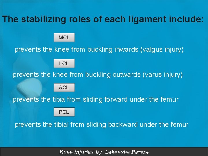 The stabilizing roles of each ligament include: MCL prevents the knee from buckling inwards