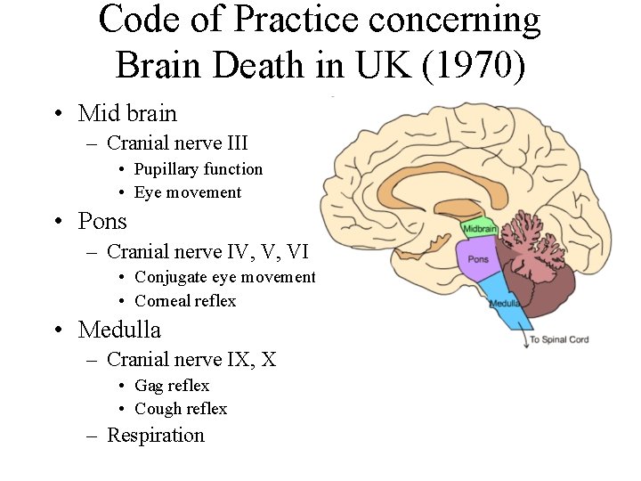 Code of Practice concerning Brain Death in UK (1970) • Mid brain – Cranial