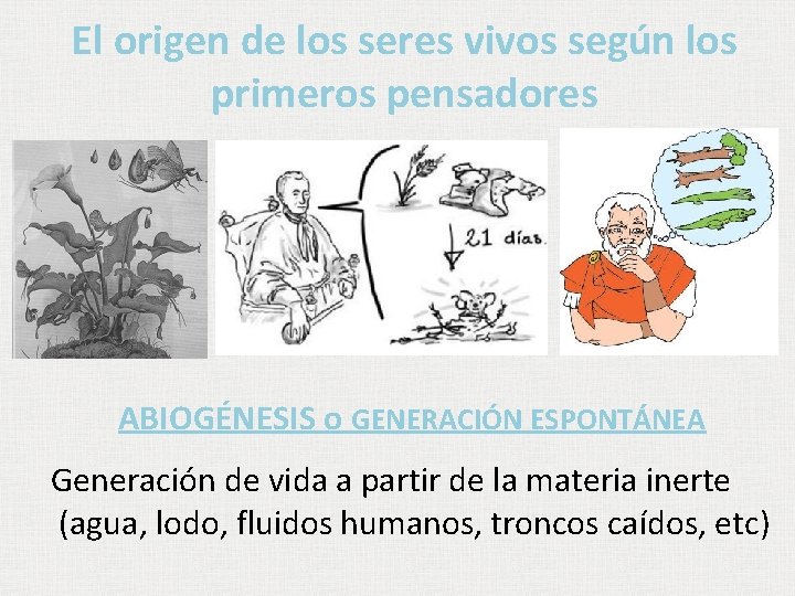 El origen de los seres vivos según los primeros pensadores ABIOGÉNESIS o GENERACIÓN ESPONTÁNEA El origen de los seres vivos según los primeros pensadores ABIOGÉNESIS o GENERACIÓN ESPONTÁNEA