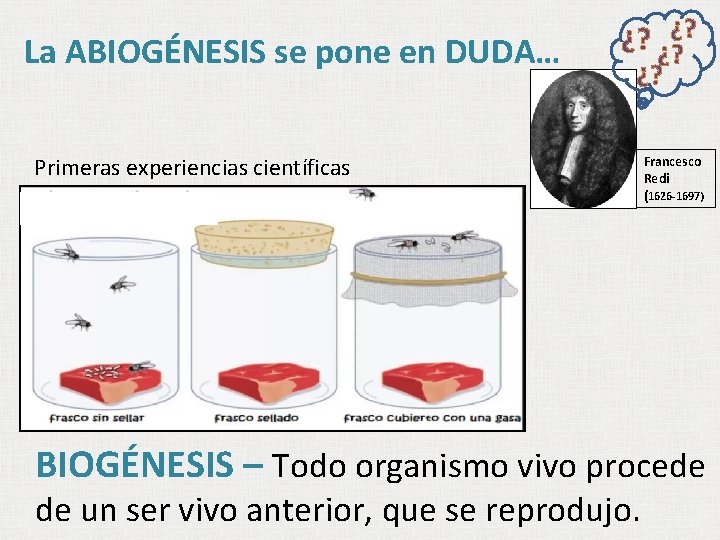 La ABIOGÉNESIS se pone en DUDA… ¿? ¿? Primeras experiencias científicas Francesco Redi (1626 La ABIOGÉNESIS se pone en DUDA… ¿? ¿? Primeras experiencias científicas Francesco Redi (1626